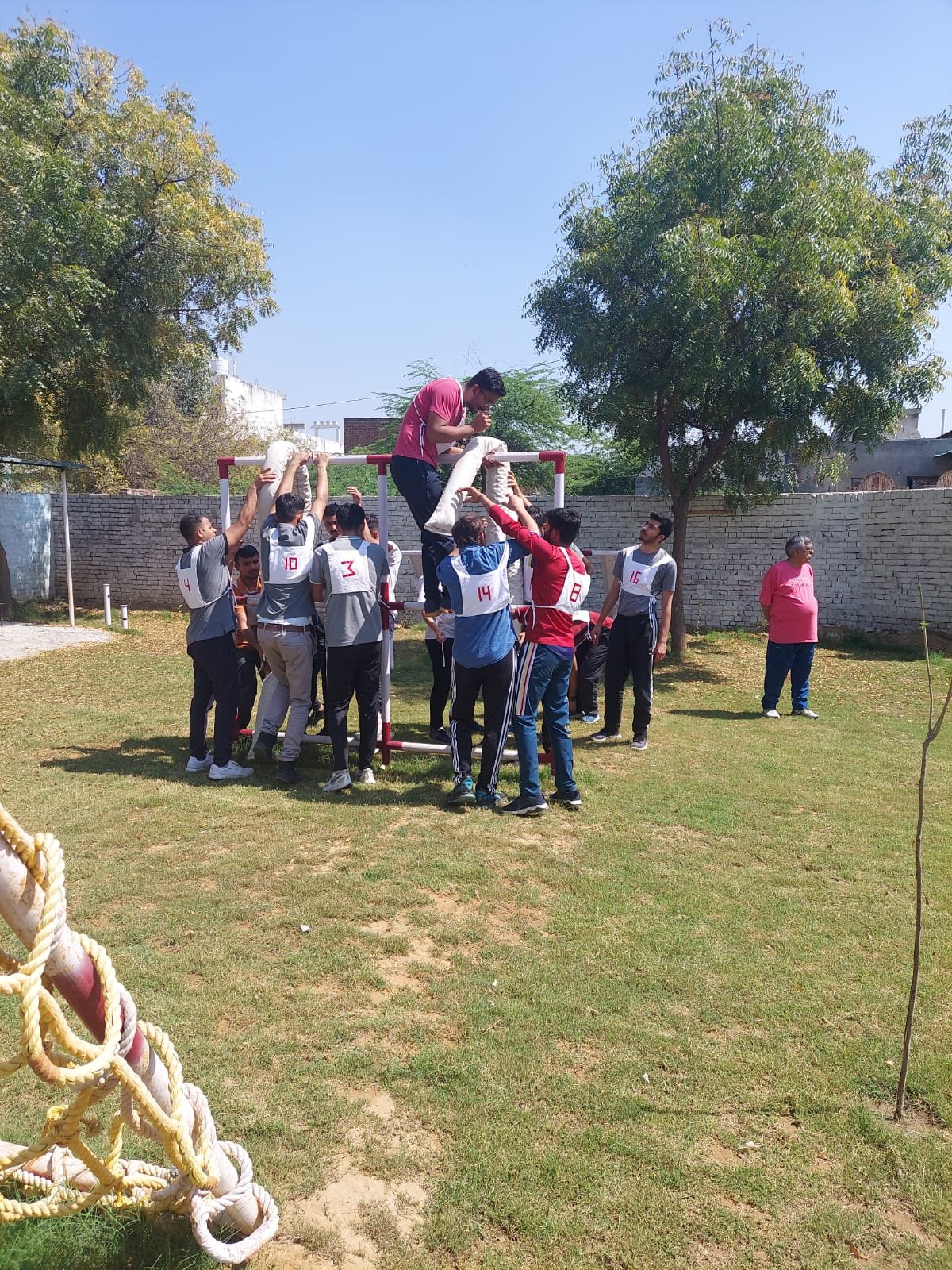Training Image 19